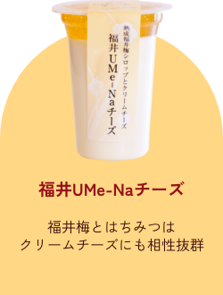 福井UMe-Naチーズ